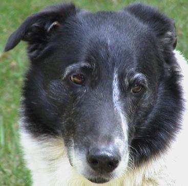 What a nice face!