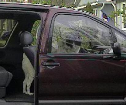 He wants to go somewhere!