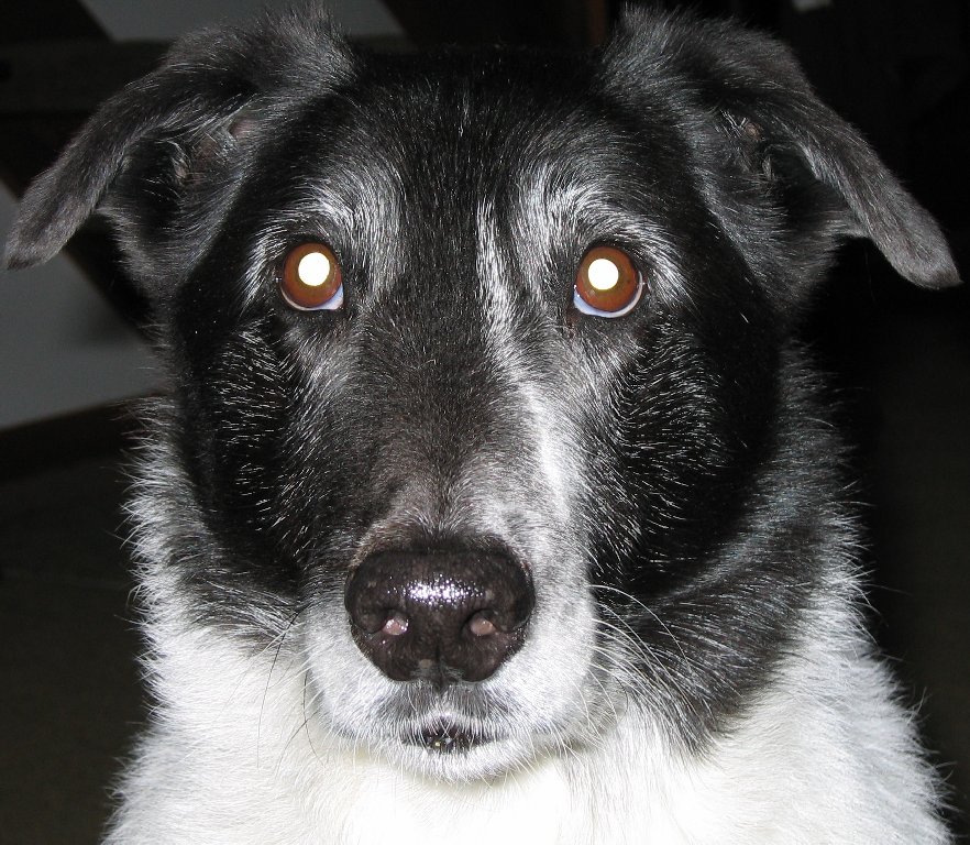 He is getting old gracefully