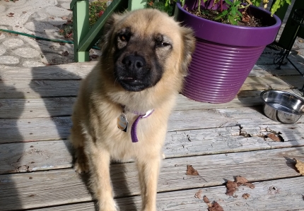 Freya stayed with us a while